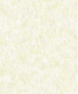 98207